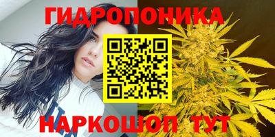 марки lsd Заводоуковск